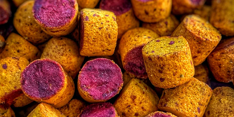 Delicious Blueberry Sweet Potato Bites served on a plate